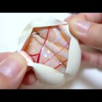 アルビノの蛇の卵を切ってみると(YouTube)