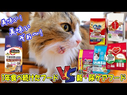猫は同じフードを与え続けるとストレスで○○になる⁉ボス吉に新しい尿ケアフードで食いつき検証をした結果、これまでの健康管理を根本から見直さなければならなくなりました🐈(YouTube)