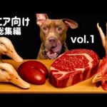 咀嚼音フェチ必見!ピットブルがひたすら骨付き肉を食べるASMRがヤバすぎる(YouTube)