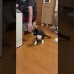 Don’t touch me(YouTube)