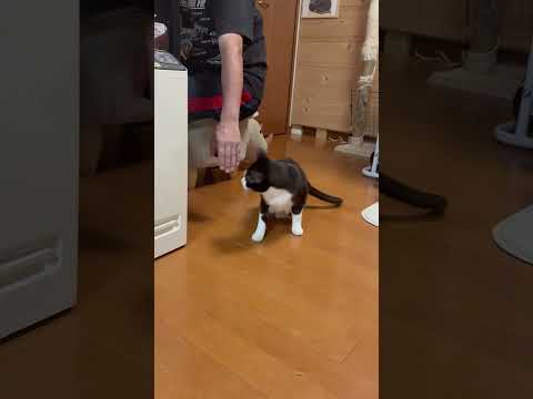 Don’t touch me(YouTube)