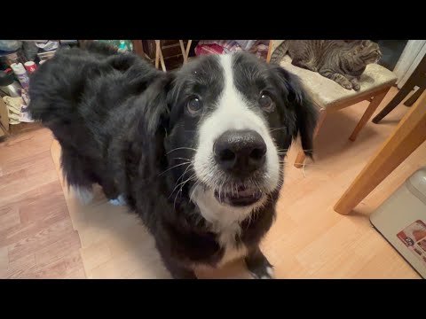 １３年間ありがとう(YouTube)