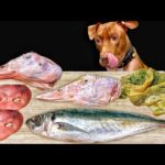 豪快すぎる!ピットブルが骨付き肉を噛み砕く咀嚼音がクセになる(YouTube)