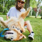 犬が人の足に体を擦り付けるときの心理5つ　どんな理由が隠されているの？注意が必要な行動まで(ブログ)
