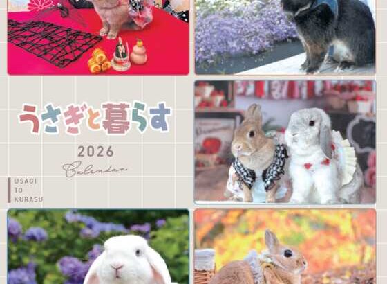 うさぎと暮らすカレンダー2026入選者＆掲載者発表！(ブログ)