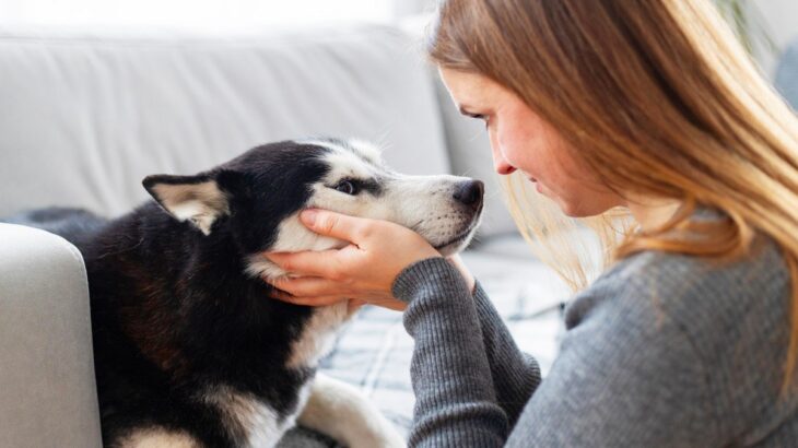 犬の目を『見つめ続けてはいけない』理由3つ　視線が持つ意味から注意すべきことまで(ブログ)