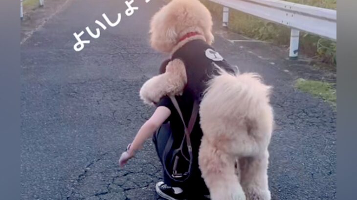 歩くのに疲れて『おんぶをねだる大型犬』→背負ってあげると…まるで『人間の親子のような光景』が388万再生「絶対二度見する」「幸せ感じた」(ブログ)