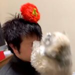 お父さんがふざけて『犬の新しいおもちゃを頭の上に乗せた』結果…無慈悲すぎる『まさかの災難』に反響「大笑いしたｗ」「顔面アタックｗ」(ブログ)