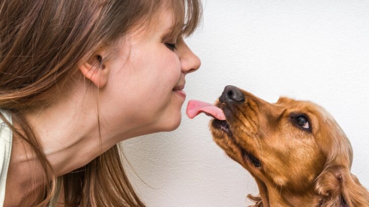犬に舐めさせてはいけない『体の部位』２選　自分をしつこく舐める原因ややめさせる方法とは？(ブログ)