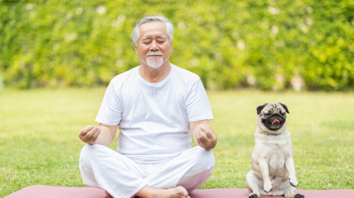 犬を飼っていると『飼い主の死亡リスク』が下がる？愛犬がもたらしてくれる影響や研究結果をご紹介(ブログ)
