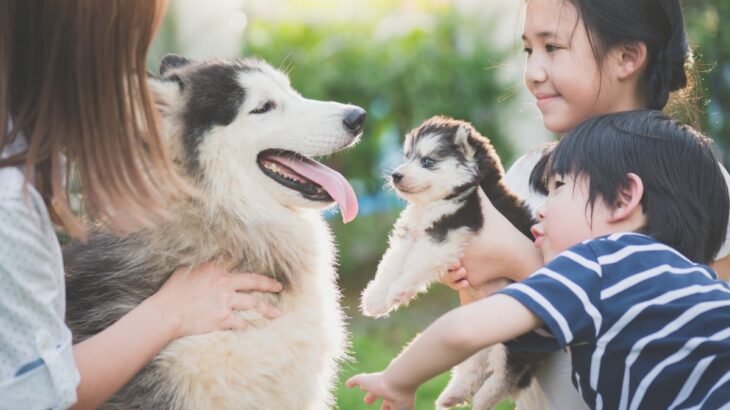 犬から人間にうつる『人畜共通感染症』7選　危険な症状や普段からできる予防法とは？(ブログ)