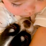 赤ちゃんがお昼寝していたら、犬がもぐりこんできて…破壊力が高すぎる『圧倒的に尊い光景』が76万再生「絆感じる」「幸せしか詰まってない」(ブログ)