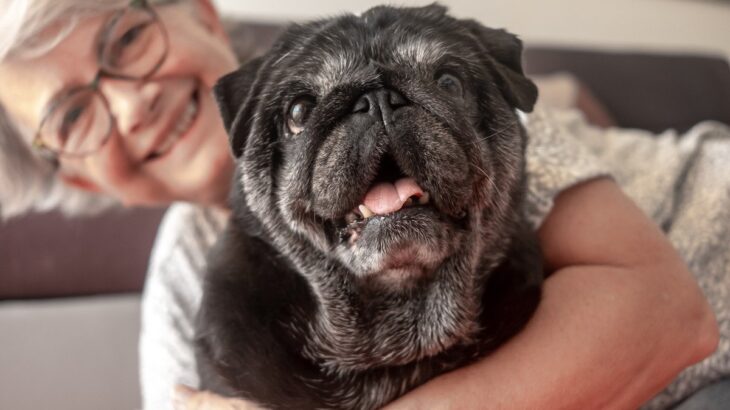 『長生きする犬』の特徴4選　愛犬の健康寿命を伸ばすポイントや長寿のために一番大切なことまで(ブログ)