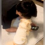 彼氏と犬を会わせた結果→『自分の彼氏だ』と思い込んで…人間すぎる『まさかの行動』が583万再生「喋りだしそうｗ」「完全に彼女で草」と絶賛(ブログ)