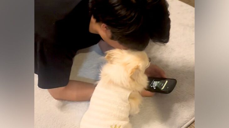 彼氏と犬を会わせた結果→『自分の彼氏だ』と思い込んで…人間すぎる『まさかの行動』が583万再生「喋りだしそうｗ」「完全に彼女で草」と絶賛(ブログ)