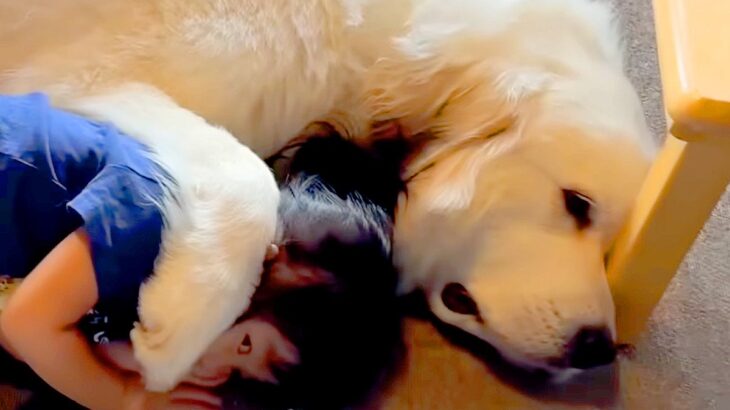 3歳の女の子が『超大型犬のとなりに寝転がった』結果→前足をかけて…とんでもなく尊い『まさかの光景』が6万再生「ホッコリ」「微笑ましい」(ブログ)