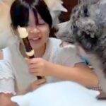夏休み、女の子が『リコーダーの練習』をした結果→3匹の秋田犬が…全く集中できない『まさかの状況』に絶賛「呼び笛？ｗ」「ワチャワチャ感ｗ」(ブログ)
