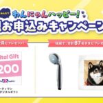 ペット保険ご成約で豪華プレゼントキャンペーン実施中！(ブログ)