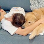 疲れてソファで寝ているパパに『1歳の女の子と2匹の犬』が…破壊力が高すぎる『休憩中の光景』が52万再生「尊い…」「なんて幸せ家族」と反響(ブログ)