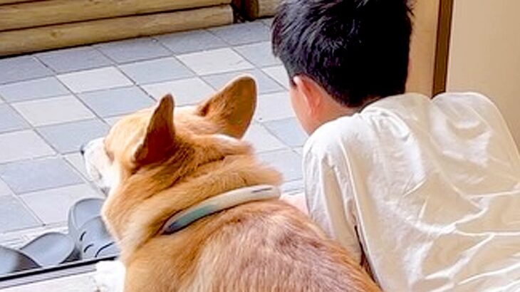 お休みの日、男の子と犬が窓際で…まるで血のつながった兄弟のような『尊すぎる光景』が66万再生「表情が愛おしい」「なんて幸せな時間」と絶賛(ブログ)