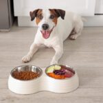 犬にとって『危険な食器』3選　避けたほうがいい理由やお皿選びのポイントまで(ブログ)