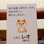 『犬がいます。呼ぶと顔を出します。』の看板→名前を呼んでみた結果…反則級な『まさかの光景』が518万再生「表情がｗ」「最高すぎる」と絶賛(ブログ)