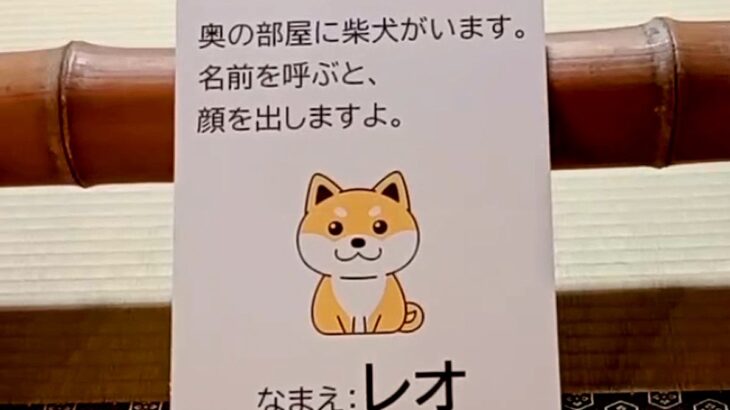 『犬がいます。呼ぶと顔を出します。』の看板→名前を呼んでみた結果…反則級な『まさかの光景』が518万再生「表情がｗ」「最高すぎる」と絶賛(ブログ)