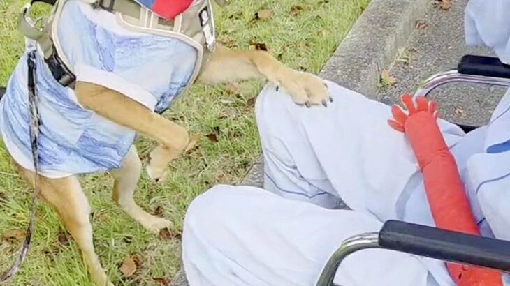 入院中の車椅子おじいちゃんが『犬に会いたい』と院長に懇願して…感動的な『再会の瞬間』に反響「何よりの薬ですね」「嬉しそうで素敵」(ブログ)