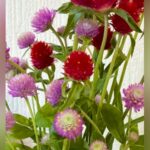 犬が嫌いな配達員に『犬は？』と聞かれたので『亡くなった』と伝えた結果→後日…涙腺崩壊する『気遣い』に15万いいね「優しい話」「泣いた…」(ブログ)