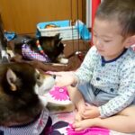 男の子が生まれてから『ずっとそばにいてくれた犬』が亡くなり…涙が止まらない『尊い記録』が14万再生「犬は大切なことを教えてくれる」と反響(ブログ)