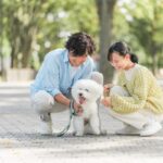 あなたの犬を『一番幸せにする』方法3選　愛犬が最高の生活を送るためのポイントや飼い主が改善すべきことまで(ブログ)