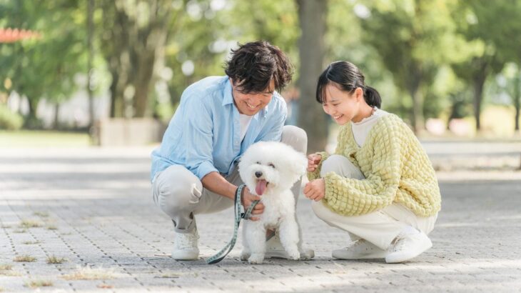 あなたの犬を『一番幸せにする』方法3選　愛犬が最高の生活を送るためのポイントや飼い主が改善すべきことまで(ブログ)