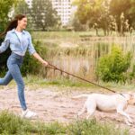 『長距離散歩が必要な犬種』5選　主な共通点や一日の適切な運動時間まで解説(ブログ)