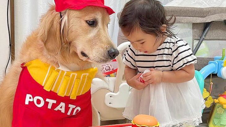 飲食店ごっこをする小さな女の子→犬が『店員さん役』に任命され…優しすぎる『まさかの対応』が46万再生「表情がｗ」「可愛いの大渋滞」と反響(ブログ)