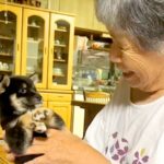 おばあちゃんと子犬が初対面した結果…思わず涙腺が緩む『言葉にならないほど尊い光景』が8万再生「優しすぎ」「ちゃんとカメラ目線ｗ」と反響(ブログ)