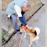 近所のおじいちゃんに可愛がってもらっていた16歳の老犬→亡くなってしまい…涙腺崩壊する『別れの光景』が267万再生「心に深く残る」と反響(ブログ)