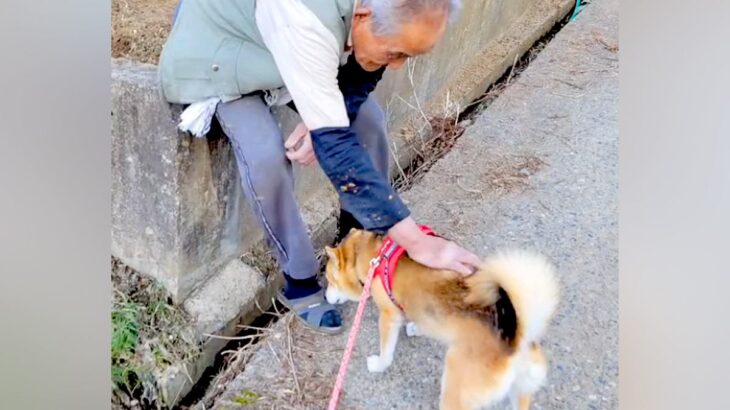 近所のおじいちゃんに可愛がってもらっていた16歳の老犬→亡くなってしまい…涙腺崩壊する『別れの光景』が267万再生「心に深く残る」と反響(ブログ)