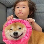 雷を怖がって震えてしまった犬→1歳の女の子が心配をして…愛おしくて泣ける『まさかの行動』が45万再生「ジーンとした」「なんて優しいの」(ブログ)