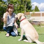 犬のために作られた『サービス』3選　意外と知られていない便利なサポートや利用する際の注意点まで(ブログ)