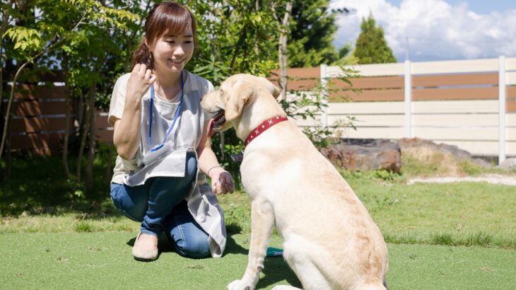犬のために作られた『サービス』3選　意外と知られていない便利なサポートや利用する際の注意点まで(ブログ)