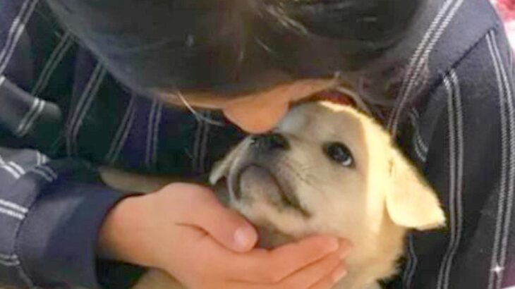 人間関係に疲れた９歳の女の子が『保護犬を飼いたい』と親に説得→危険かもと心配していたら…涙あふれる光景に感動「愛が伝わった」「優しい子」(ブログ)