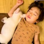 寝ている男の子に『赤ちゃん犬』が近づいて…涙が出るほど尊い『本当の兄妹のような光景』が22万再生「見てるだけで幸せ」「めちゃ可愛い…」(ブログ)