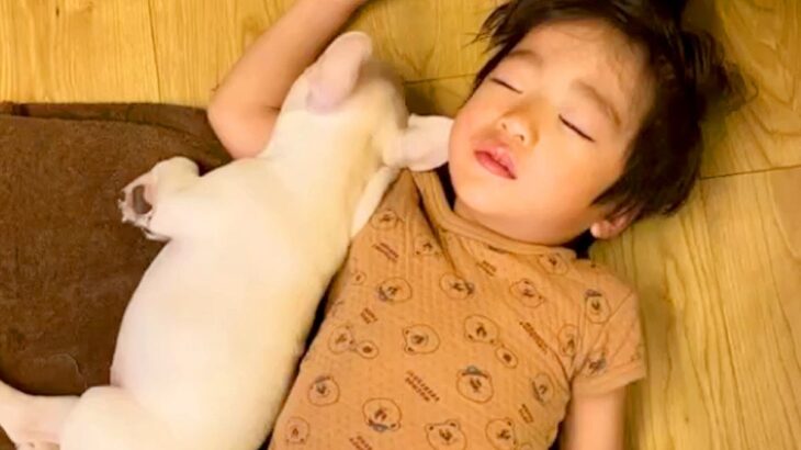 寝ている男の子に『赤ちゃん犬』が近づいて…涙が出るほど尊い『本当の兄妹のような光景』が22万再生「見てるだけで幸せ」「めちゃ可愛い…」(ブログ)