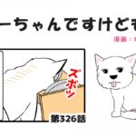ちーちゃんですけどもっ【第326話】「買い物しづらいウェスティ」(ブログ)