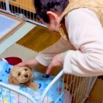 夫を亡くした『87歳のおばあちゃん』が犬と暮らした結果…ずっと見ていたい『本当の息子のようなお世話』に感動「なんて優しいの」「ほっこり」(ブログ)