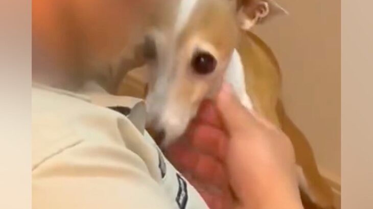 1年前『排水管洗浄の業者さん』に仲良くしてもらった犬→久々の再会でも顔を覚えていて…愛おしい光景と『お別れの瞬間』に反響「ほっこりした」(ブログ)