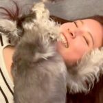『愛犬の姉妹』に会いに行った結果→想像以上だった『まさかの歓迎方法』が125万再生「匂いをつけようとしてるのかなｗ」「スリスリ祭り」(ブログ)