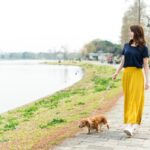 犬が死ぬ可能性のある『散歩方法』5選　外出時に潜む危険や今すぐ直すべき絶対NG行為まで(ブログ)