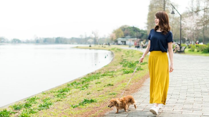犬が死ぬ可能性のある『散歩方法』5選　外出時に潜む危険や今すぐ直すべき絶対NG行為まで(ブログ)