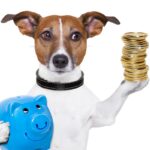 犬を飼うときにかかる費用はどのくらい？　犬種やサイズ別の違いから生涯費用の目安まで解説(ブログ)